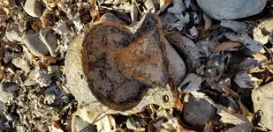 20171207_101754.webp