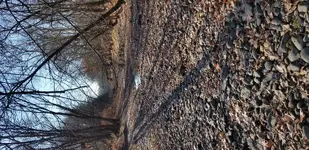 20171207_094348.webp 20171207_094348.webp