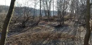 20171207_094259.webp 20171207_094259.webp