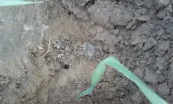 1207171231a.webp 1207171231a.webp