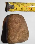 DSCN8358.webp