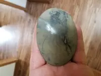 20170827_151342.webp