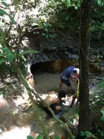 5329E977-1985-4AEA-A659-3AA02F8C1DB5.webp