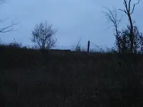 DSCF1242.webp