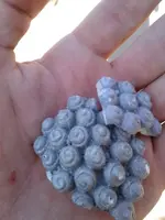 20171217_131928.webp