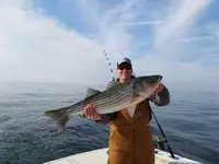 20171217_115145.webp