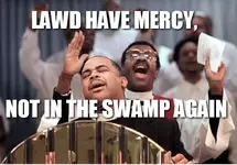 LAwd.webp