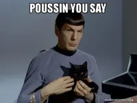 poussin-you-saymeme.webp