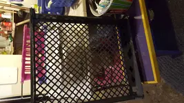 20170621_194828.webp