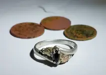 ring11.webp