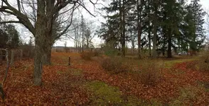 WP_20171125_10_16_29_Panorama.webp