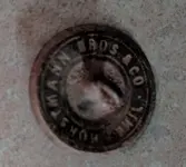 button.webp button.webp