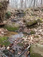 20171217_135118.webp 20171217_135118.webp