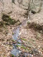 20171217_135123.webp 20171217_135123.webp