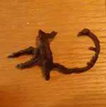shoe buckle 1.webp shoe buckle 1.webp