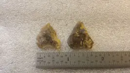 Small Points Front.webp