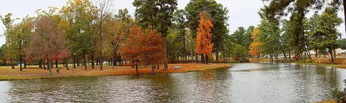 DSCN1352.webp