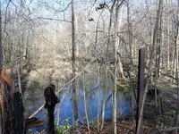 IMG_0329 (2).webp