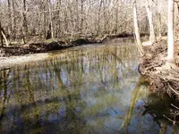 IMG_0333 (2).webp