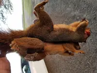 20171006_183028.webp