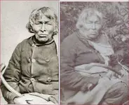 chippewa chief compare.webp