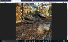 head.webp