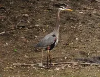 K1600_DSCN0997.webp