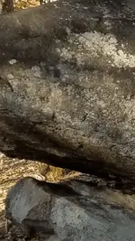 Screenshot_20171128-182236.webp
