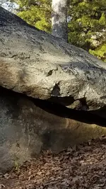Screenshot_20171128-182334.webp