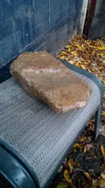 IMG_20180219_065132.webp