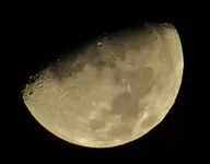 half moon 005.webp