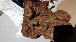 minerals (2).webp