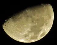 half moon 006.webp