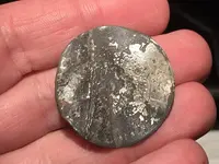 button1.webp