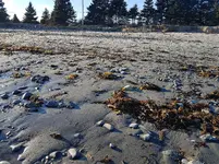 20180107_151807.webp