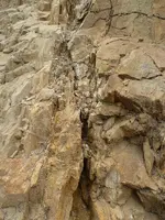 vein 5-17-14 003.webp