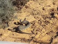 20171106_163133.webp