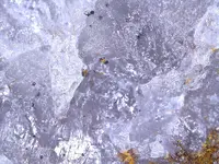 178614826220.webp