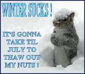 wintersucks.webp