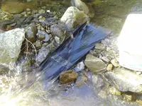ImageUploadedByTreasureNet.com1513661733.514766.webp