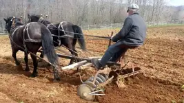 disc harrow.webp