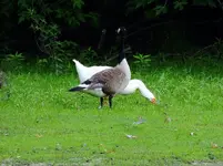 DSCN2522.webp