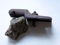 rams horn6A.webp