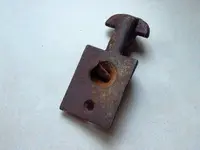 rams horn2A.webp