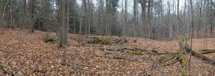 WP_20171204_14_27_11_Panorama (2).webp
