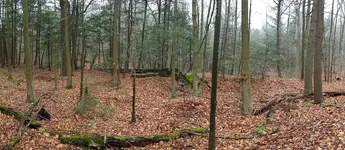 WP_20171204_12_01_58_Panorama (2).webp