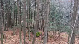 WP_20171204_14_37_14_Rich_LI (2).webp