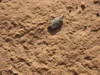K800_IMG_0572.webp