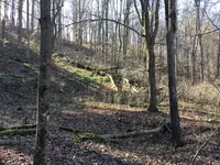 ImageUploadedByTreasureNet.com1511983197.142625.webp