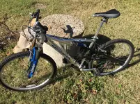 Mongoose.webp